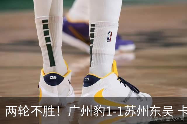 两轮不胜！广州豹1-1苏州东吴 卡马拉破门王彬翰绝平