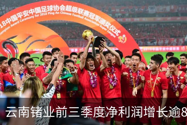 云南锗业前三季度净利润增长逾800% “牛散”章建平增持1961.57万股